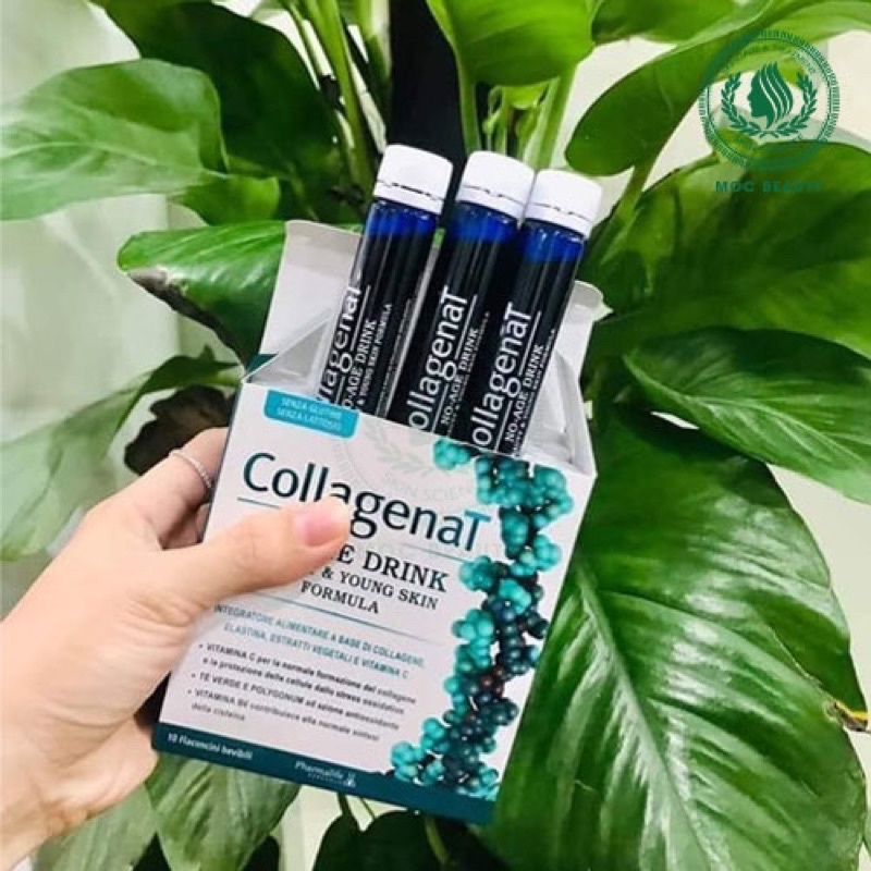 Collagen uống từ đại dương CollagenaT No Age Drink - GIBE STORE