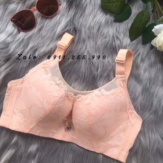 Áo Ngực Định Hình Lưng 5 Móc Cỡ Lớn