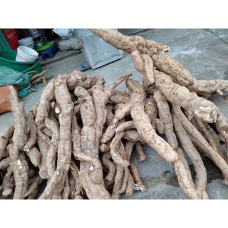BỘT SẮN DÂY 1kg NGUYÊN CHẤT 100%(Tiết kiệm 10.000)