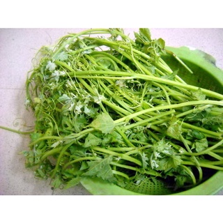 Phân bánh dầu đậu phộng LAVAMIX 1kg485