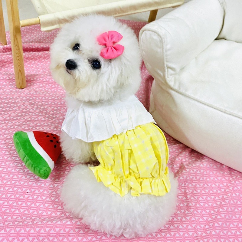 Áo đầm thun dễ thương dành cho thú cưng Đầm cổ bèo ngọt ngào chó mèo