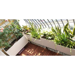 Chậu trồng cây gỗ nhựa composite 5025cm chưa kèm chân