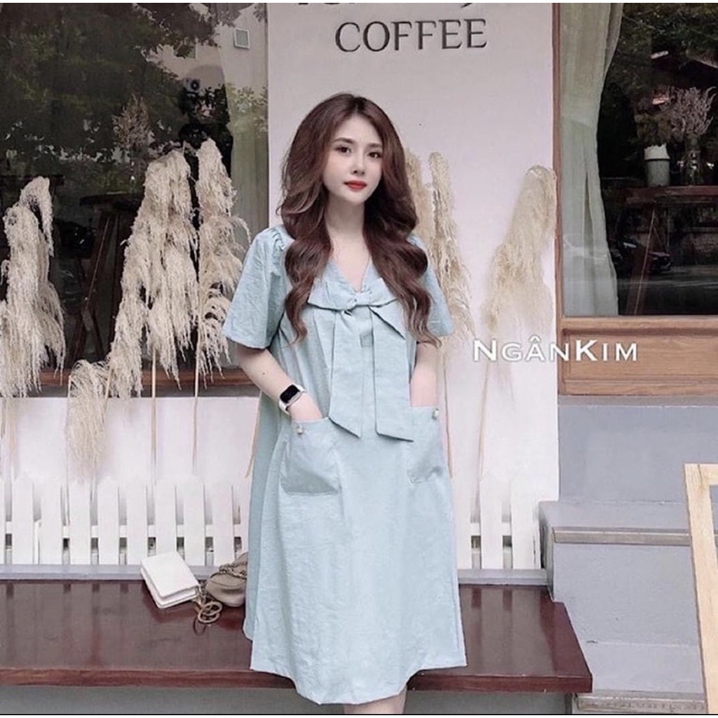 Váy Bầu Mùa Hè, Đầm Bầu Baby Doll Thiết Kế Dáng Suông Trang Nhã Có Túi Xinh Xắn HN0101 Mama Store99