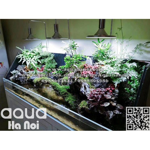 Đèn Led Kẹp Xinma 20W, 40W cho thuỷ sinh, bán cạn - Sáng trắng và RGB