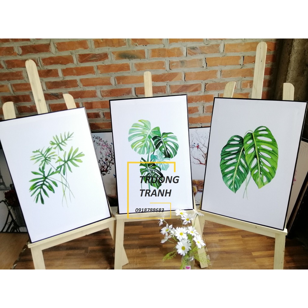 Bộ 3 Tranh canvas khung gỗ giá tốt nhất thế giới | BigBuy360 - bigbuy360.vn