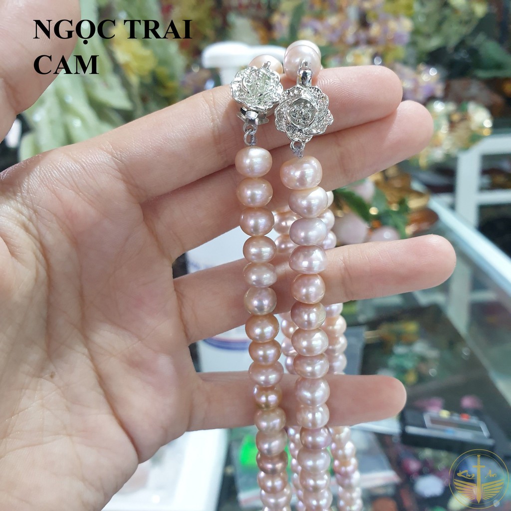 Bộ Ngoc Trai Nuôi Nước Ngọt nhiều màu