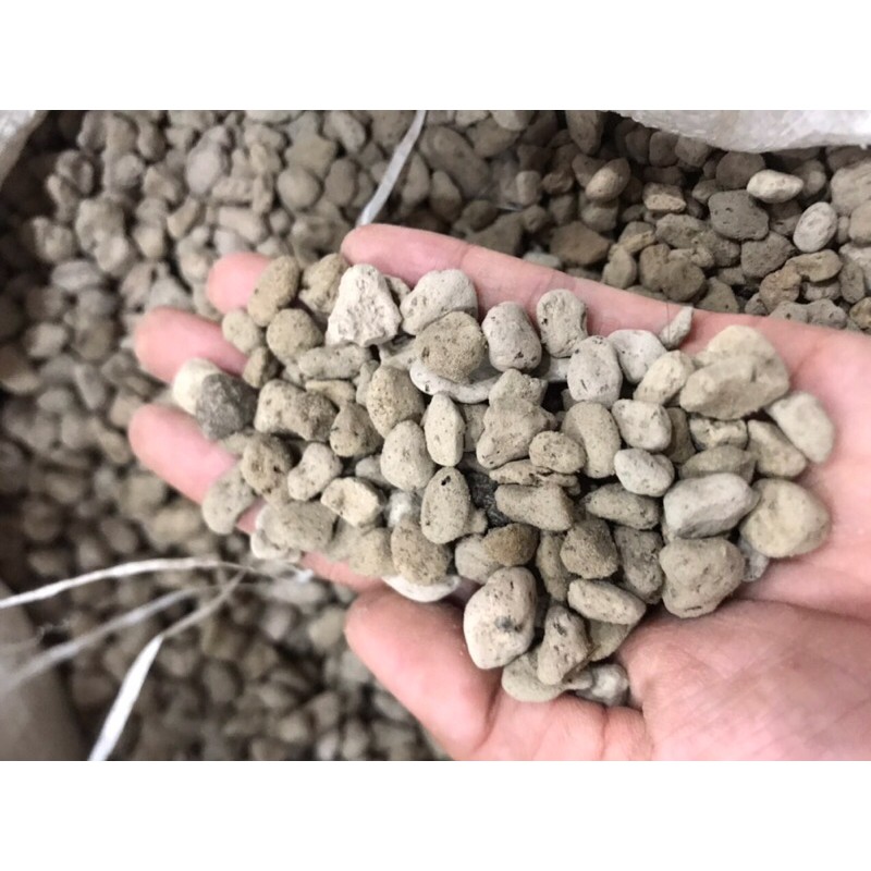 đá pumerce trồng sen đá, lót nền bán cạn, terarium