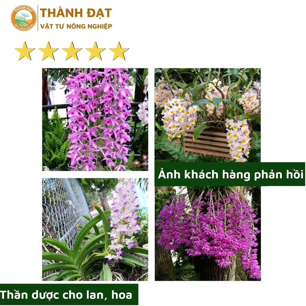 Thuốc chống thối nhũn cho lan hàng thái lan (captan)