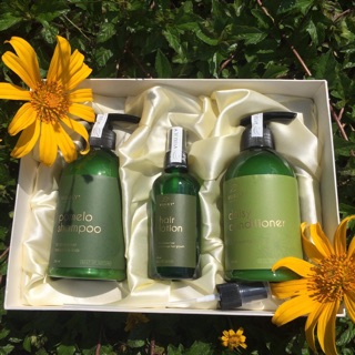 Lotion+Dầu gội+Dầu xã