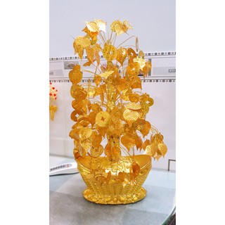 cây tài lộc cành vàng lá ngọc mini