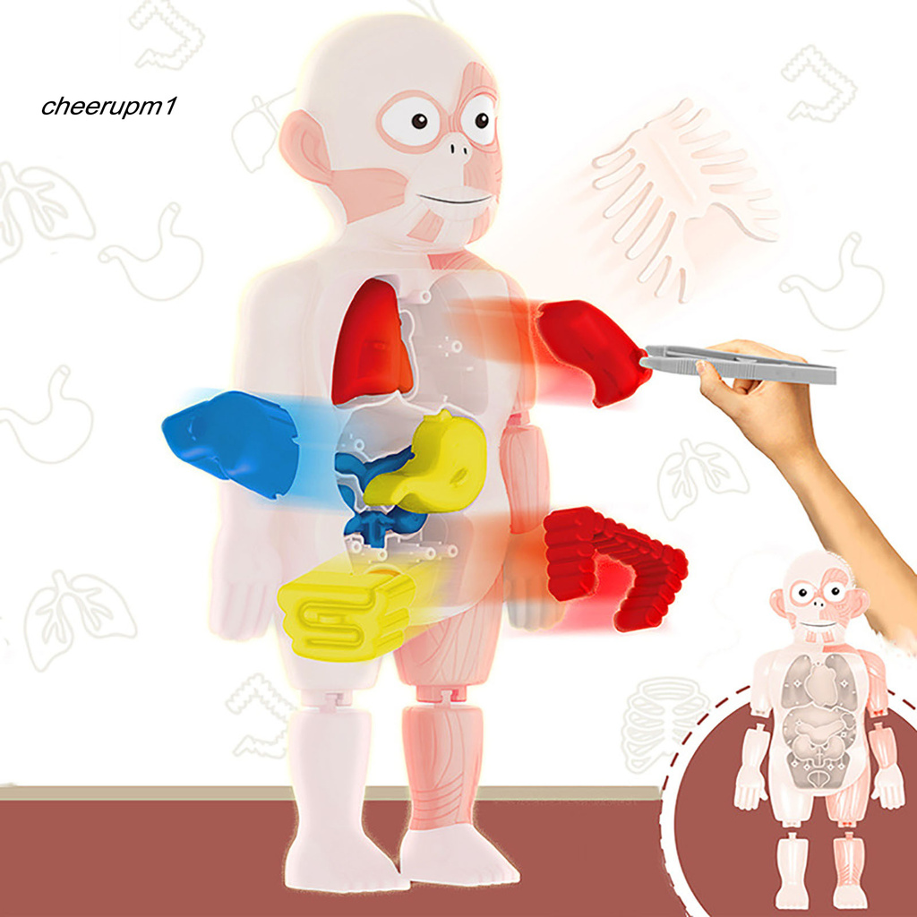 Set mô hình cơ thể người 18 chi tiết bằng nhựa cho bé