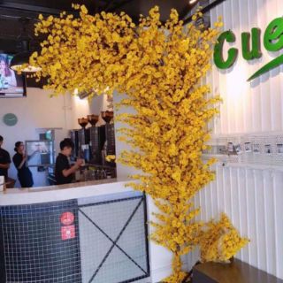 Combo 100 cành đào làm cây đào giả