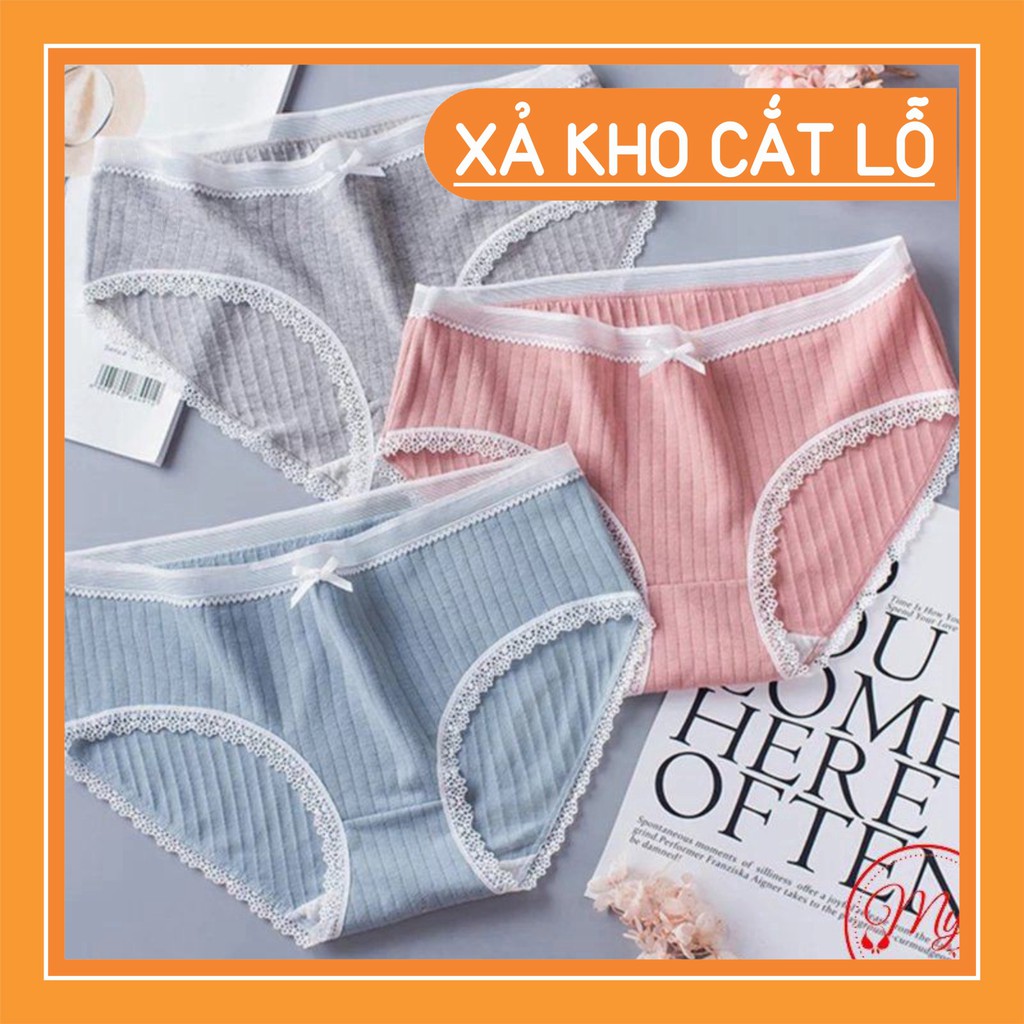 Sỉ Quần Lót Gân Tăm Viền Ren Cotton Thấm Hút Siêu Xinh Rẻ Nhất Thị Trường