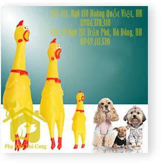 [Mã giảm mỹ phẩm chính hãng] Đồ chơi gà nhựa chít chít - gà la làng dành cho thú cưng - Phụ kiện thú cưng