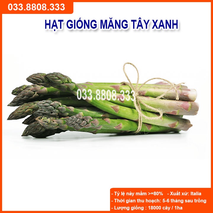 Hạt Giống Măng Tây Xanh - gói 1g (40-50 hạt)