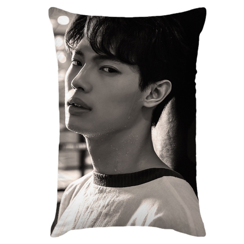 Vỏ Gối Hình Chữ Nhật In Họa Tiết Hoạt Hình Trang Trí Nhà Cửa/Xe Hơi