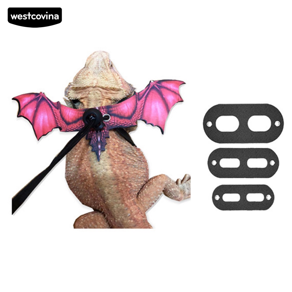 Dây Dắt Thú Cưng Bò Sát Thiết Kế Nhẹ Thoải Mái