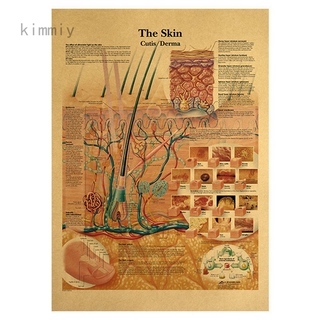 Poster Dán Tường Trang Trí Hình Cấu Trúc Cơ Thể Người Phong Cách Vintage Độc Đáo