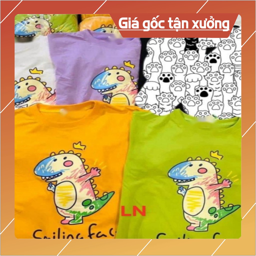 Áo khủng Long màu sắc LN12