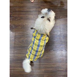 Áo Sơmi kẻ cho chó mèo