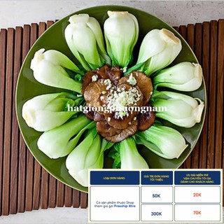 20GR - HẠT GIỐNG CẢI THÌA