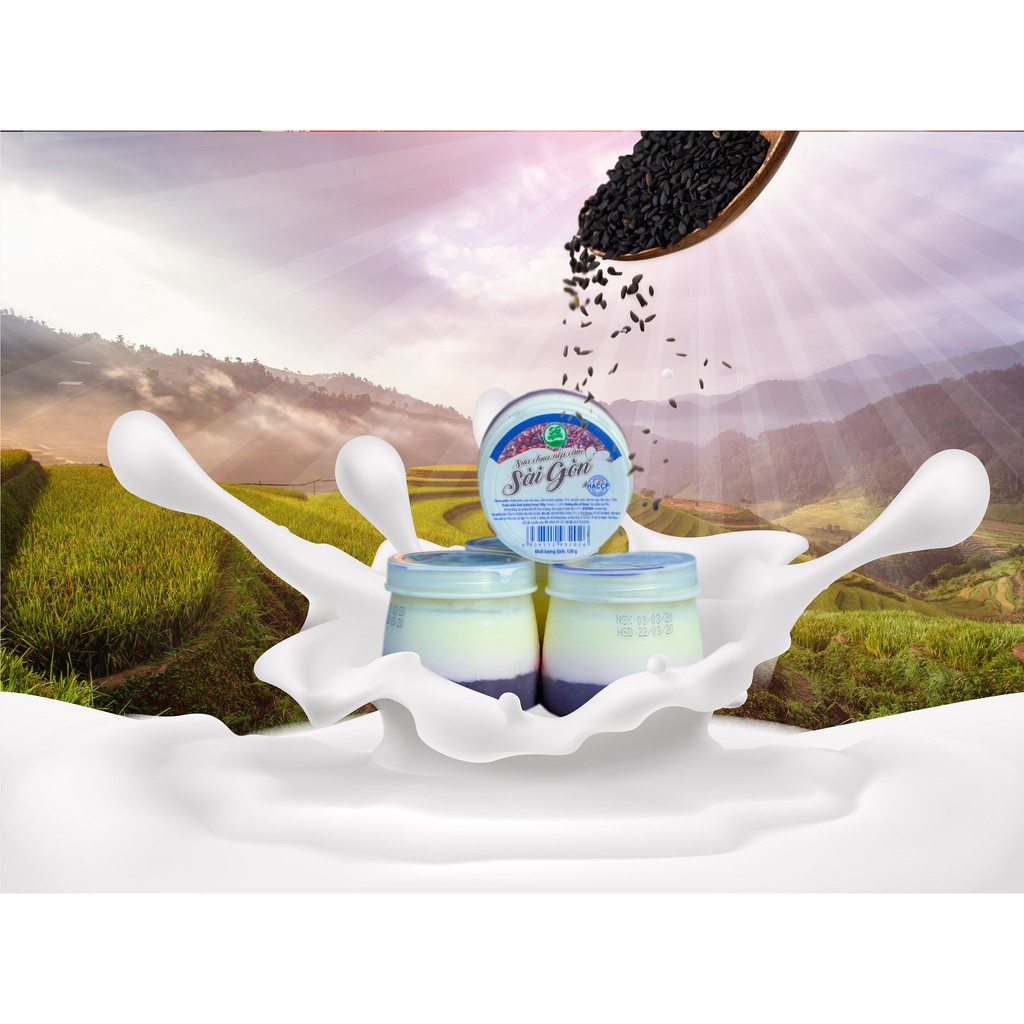 Sữa Chua Phô Mai Sài Gòn - Sgmilk - 1 Lốc 4 Hũ
