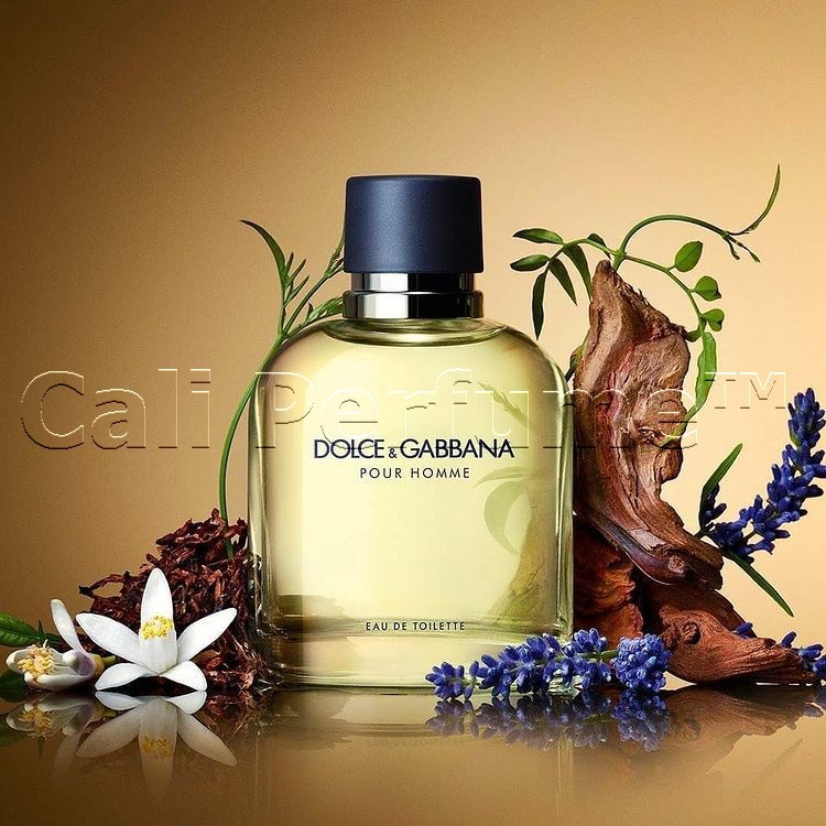 [Cali Perfume][Dùng Là Thơm][Siêu Cuốn Hút] Nước Hoa Nam Dolce&Gabbana Pour Homme