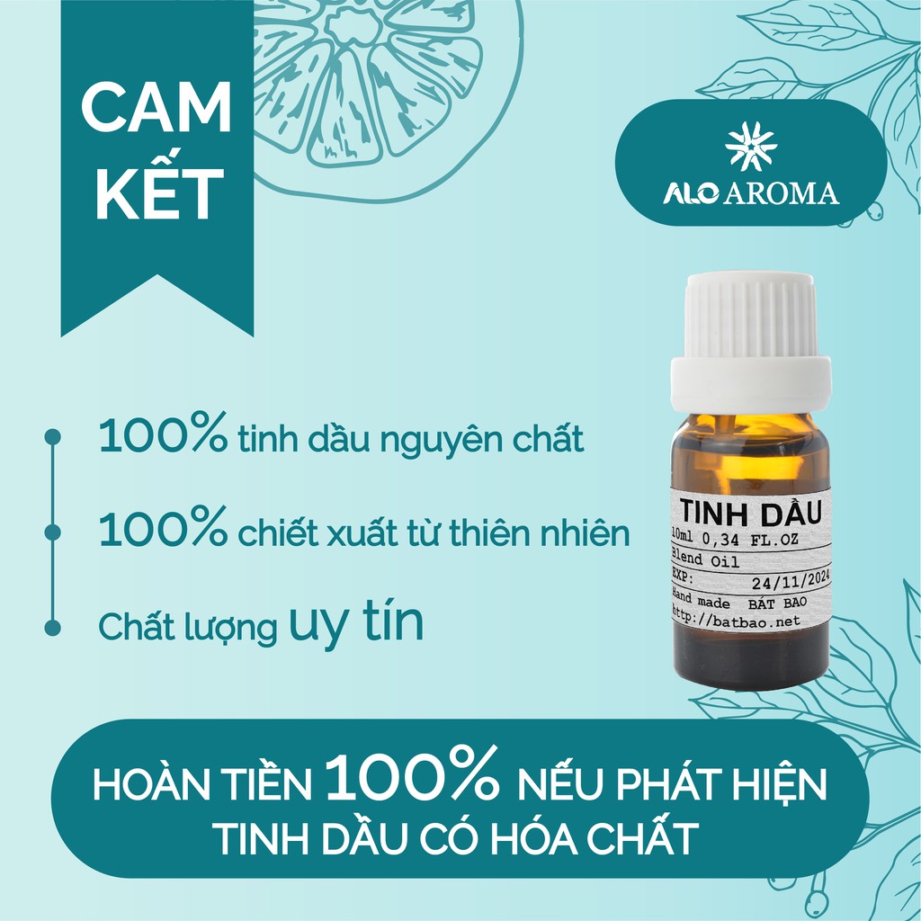 Tinh Dầu Thông Thiên Nhiên đuổi muỗi, côn trùng Turpentine Essential Oil AloAroma