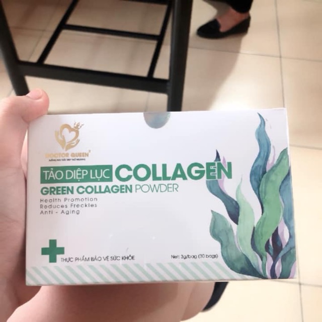 Tảo diệp lục