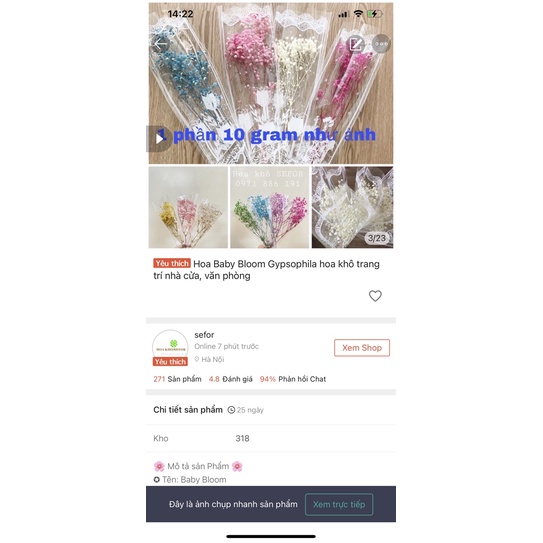 Hoa baby ướp xanh dương❤️FREESHIP❤️ Gypsophila hoa khô trang trí phòng ngủ, làm đồ handmade