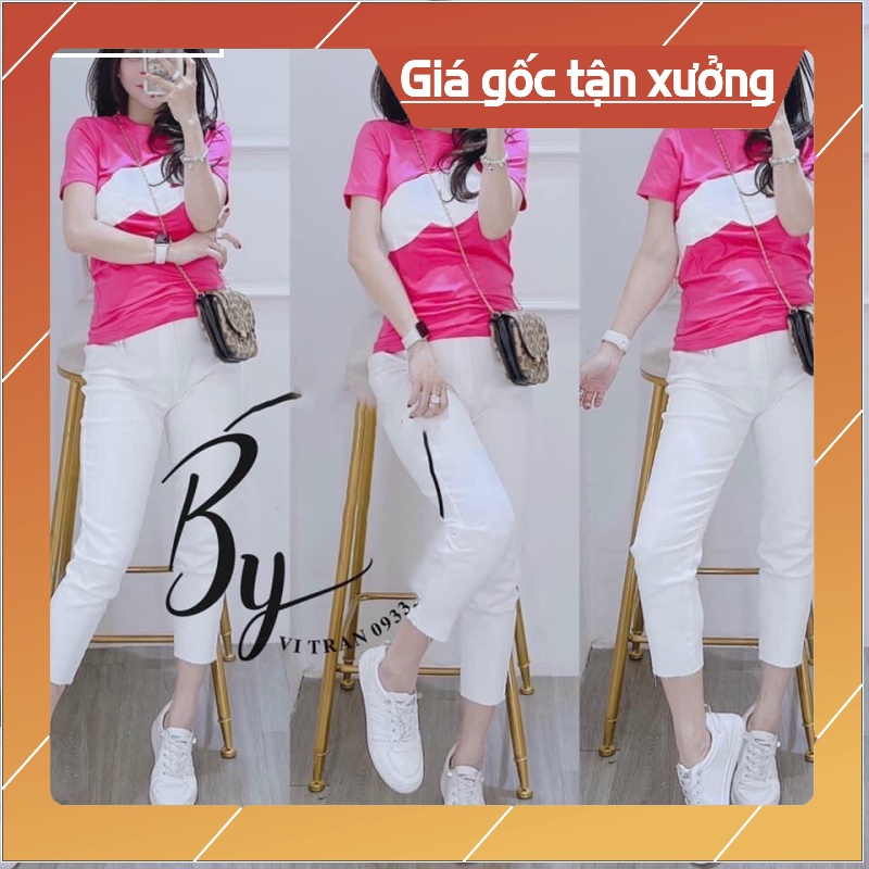 Áo thun nữ cổ tròn form suông rộng vừa in hình con báo thun cotton thái - Mao Mao