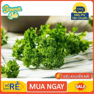 Gói 1GR hạt giống Ngò Tây (Rau mùi xoăn) [Hàng Tốt]