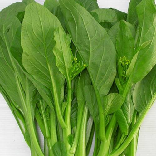 Hạt giống rau cải ngồng