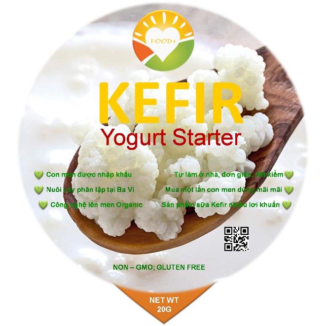 Hạt Sữa Kefir khởi động - Kefir Yogurt Starter Organic Ba Vì.