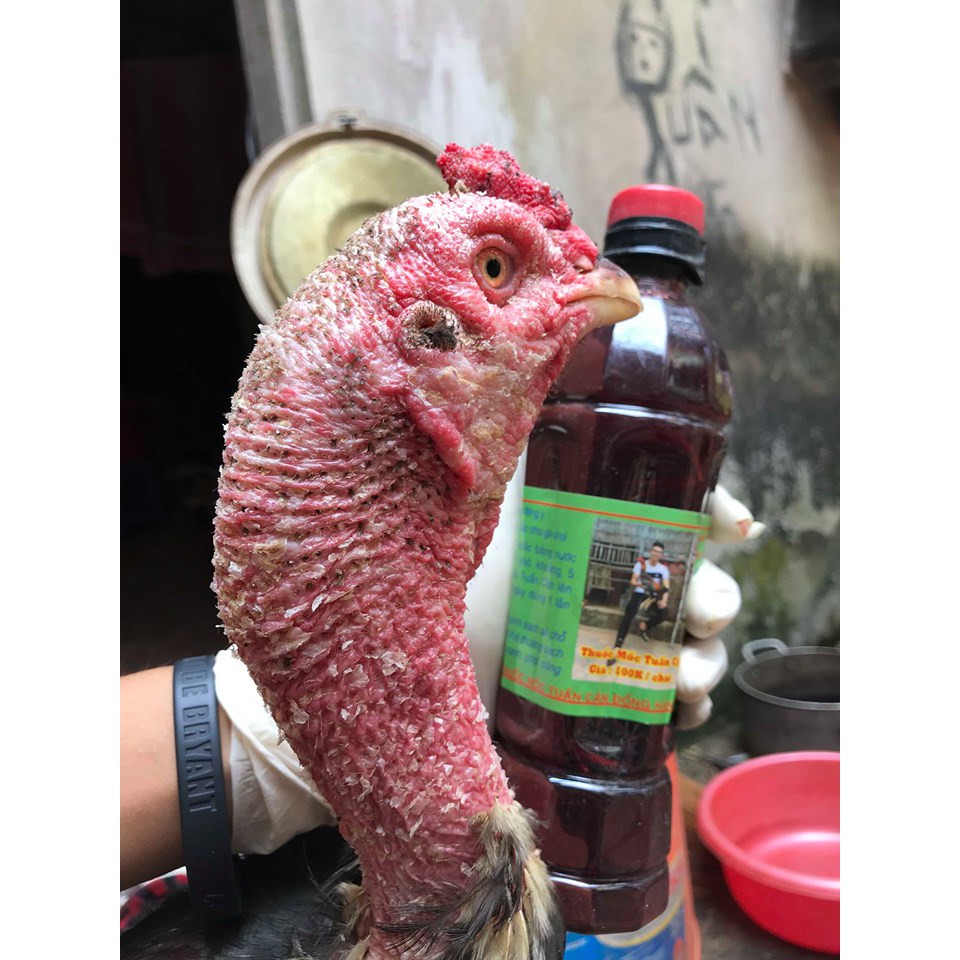 Bôi Mốc Tuấn Cận Tặng 1 Đôi Bịt Mỏ