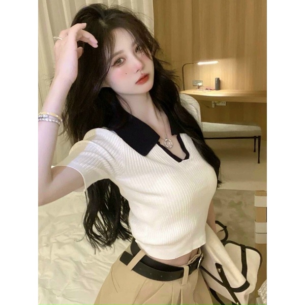 Áo thun gân cổ bẻ viền ☘️☘️☘️☘️SL alohashop91