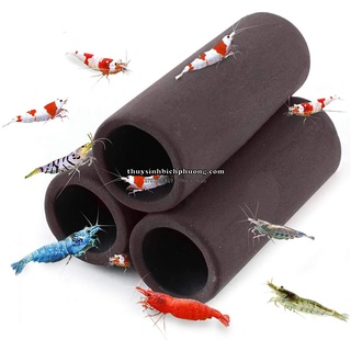 ỐNG CỐNG GỐM ẨN NẤP 3 LỖ / ĐỒ CHƠI CHO CÁ TÉP
