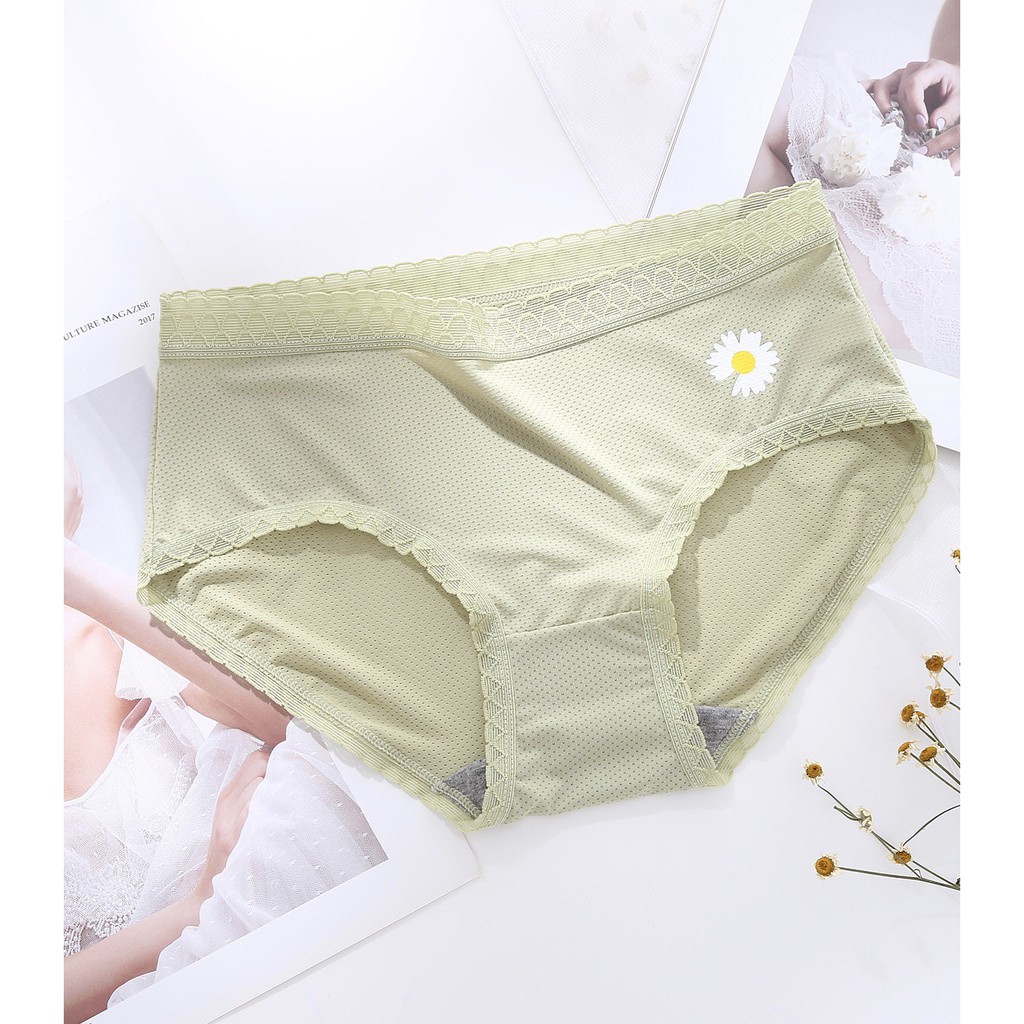 Quần Lót Nữ Su Đúc Thông Hơi Hoa Cúc Kháng Khuẩn Túi Zip Riêng Biệt - Quần Lót Nữ AirBra Kháng Khuẩn | BigBuy360 - bigbuy360.vn