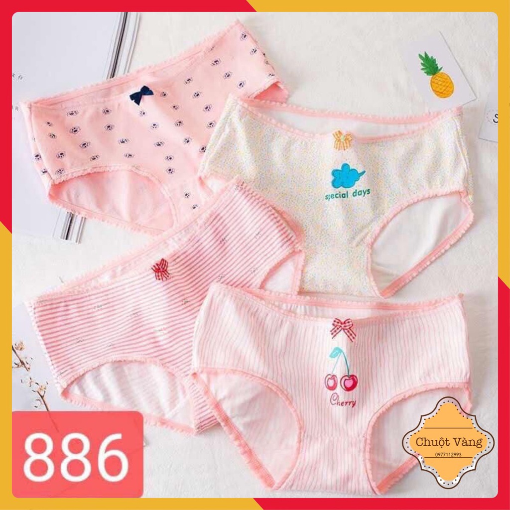 Set 10 quần lót cotton học sinh cute