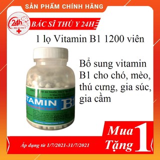 Thuốc thú y Lọ Vitamin B1 1200 viên bổ sung vitamin B1 cho chó mèo thú cưng gia súc gia cầm
