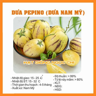 Hạt Giống Dưa Pepino (Dưa Nam Mỹ) - 4 Hạt