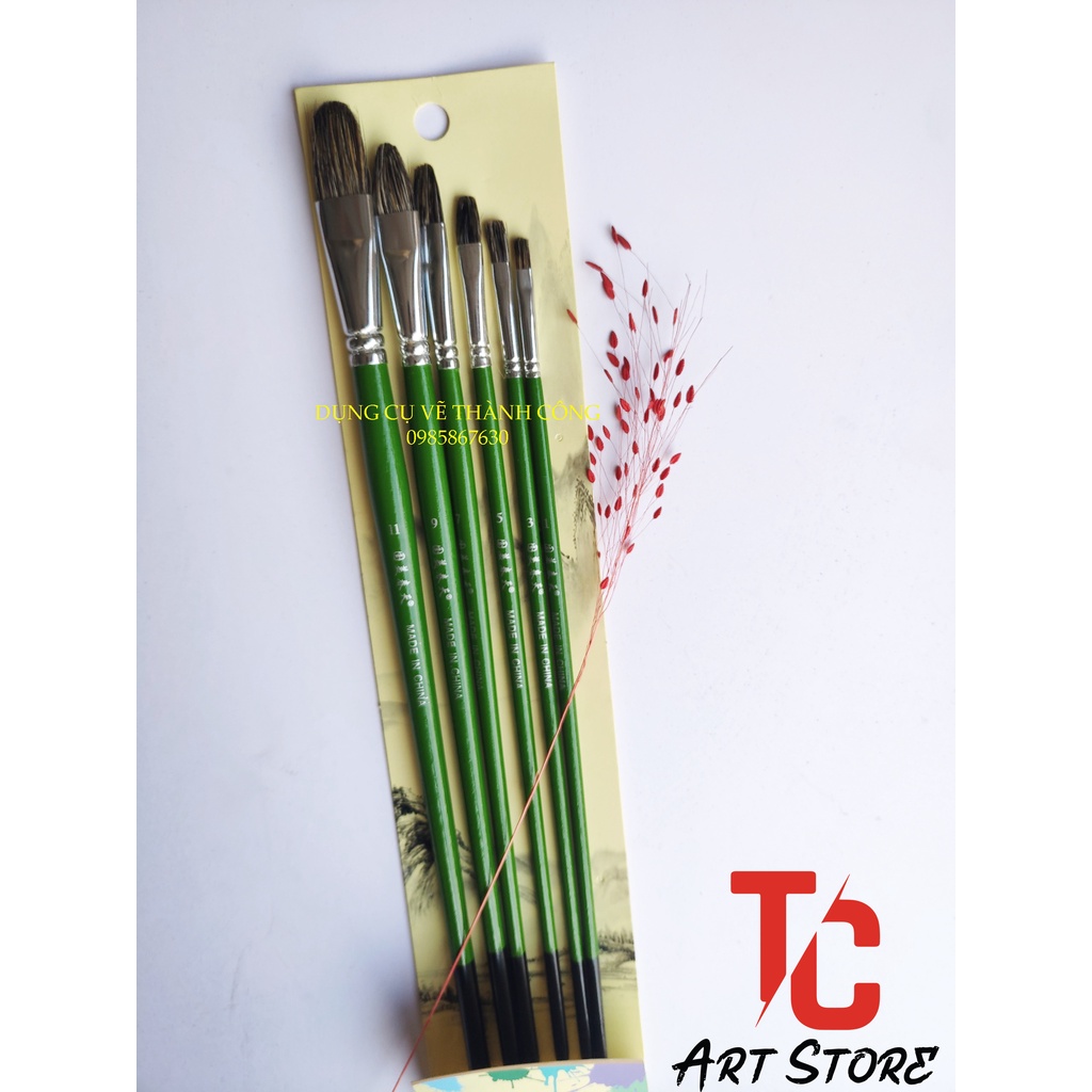 Bộ 6 Cây cọ Oval Lông chồn - Thân xanh lá