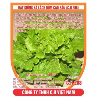 Sale off Hạt giống rau xà lách dún cực đẹp.