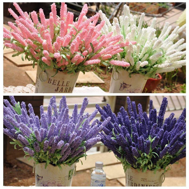 [100 hạt ] Hạt giống Hoa Oải Hương (Lavender) Loài Hoa Của Tình Yêu