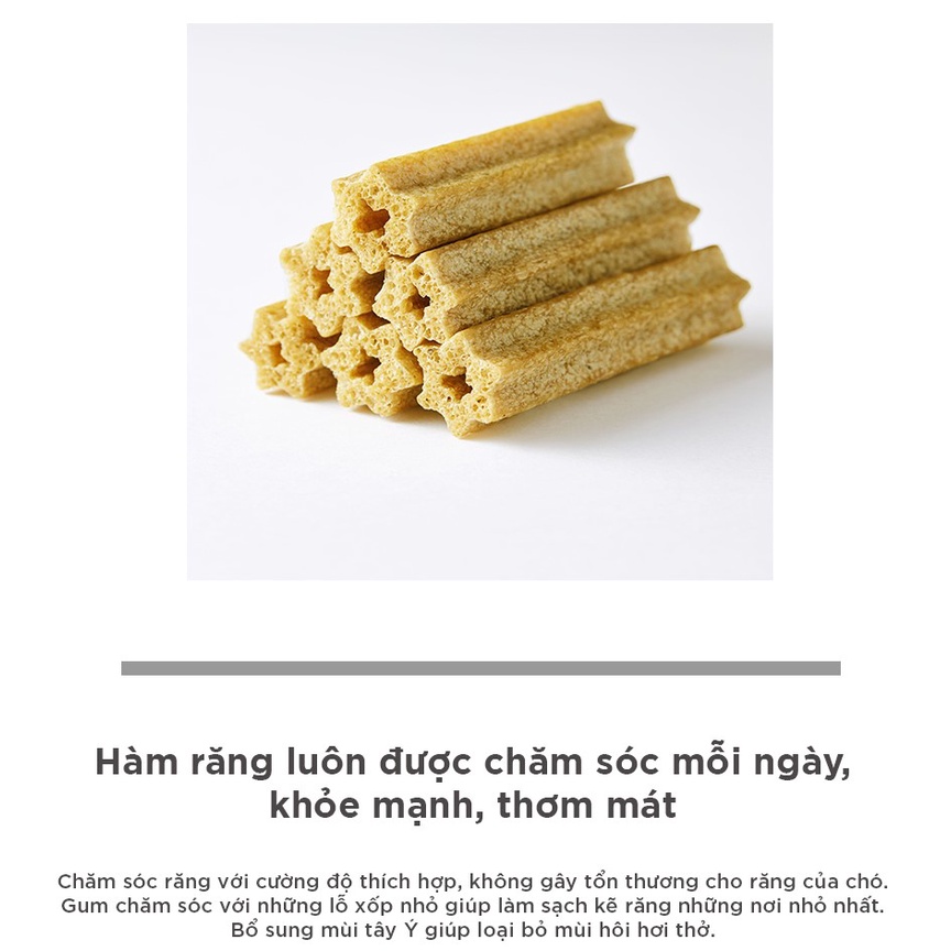 [DINH DƯỠNG CAO CHO CHÓ] Gum chuối, Gum tảo biên, Gum việt quất cho chó BOWWOW 270g - Snack cho chó - Ăn vặt cho chó