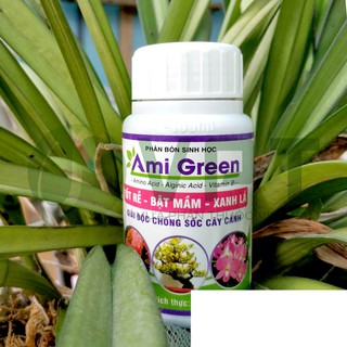 Ami Green - Kích rễ, giải độc phân thuốc cho cây chai 100ml