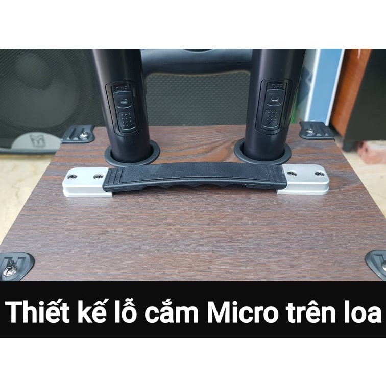 Loa kéo Karaoke Bluetooth Best Sound BD-9080: Bass 20, Có 2 Micro không dây đi kèm