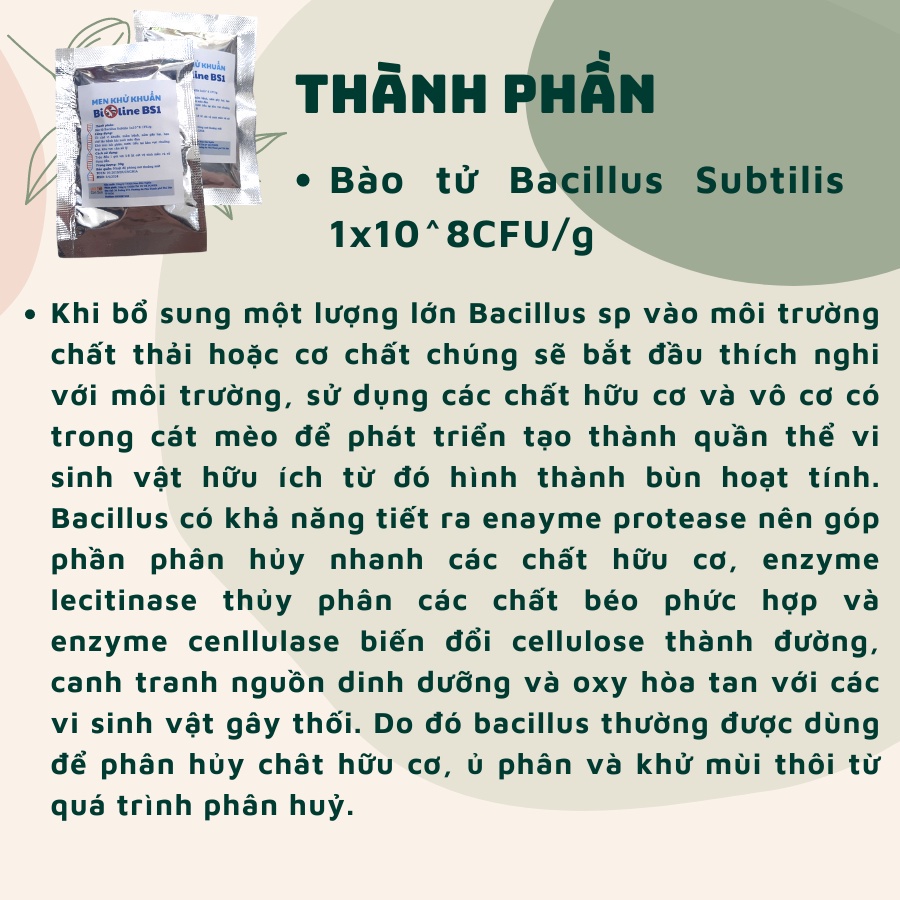 Men khử khuẩn CÁT VỆ SINH MÈO BIOLINE BS1 diệt mầm bệnh, mùi hôi phân nước tiểu trong cát mèo