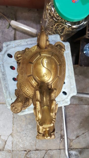 Rùa Đầu Rồng (Long Quy) cao 15cm