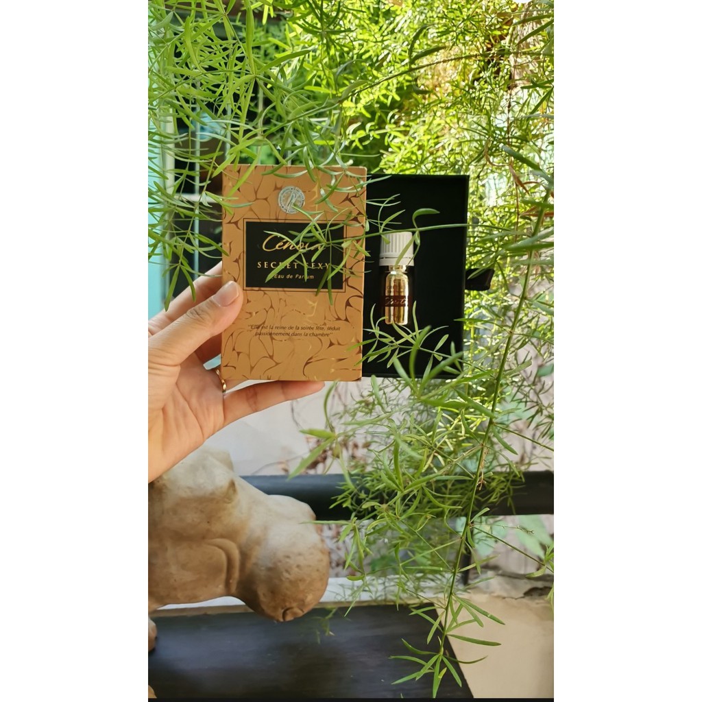 Nước Hoa Vùng Kín Cenota Secret Sexy 5ml - Chính hãng 100% | BigBuy360 - bigbuy360.vn